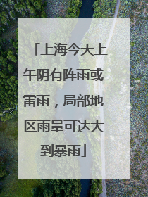 上海今天上午阴有阵雨或雷雨，局部地区雨量可达大到暴雨